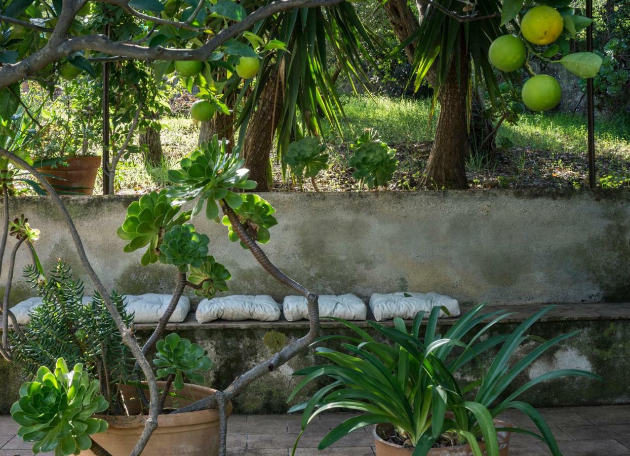 Villa Santa Lucia Cefalù Eksteriør billede